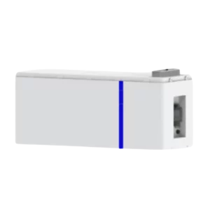 deye lv battery module